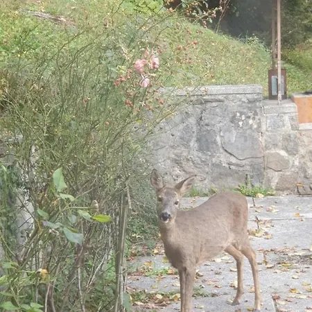 Chalet Gorgeous Bled