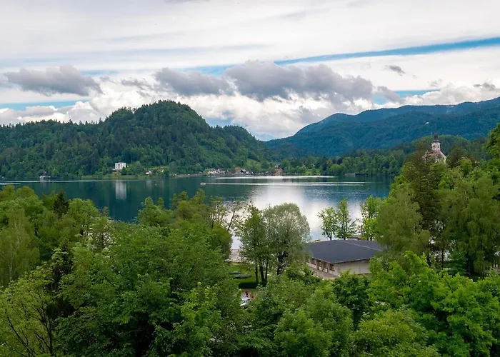 シャレー Gorgeous